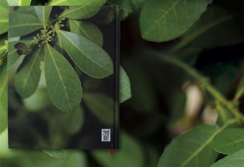 libro172-848x579