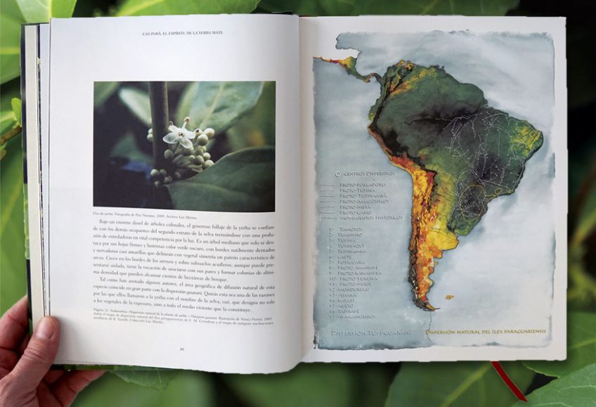 libro73-848x579