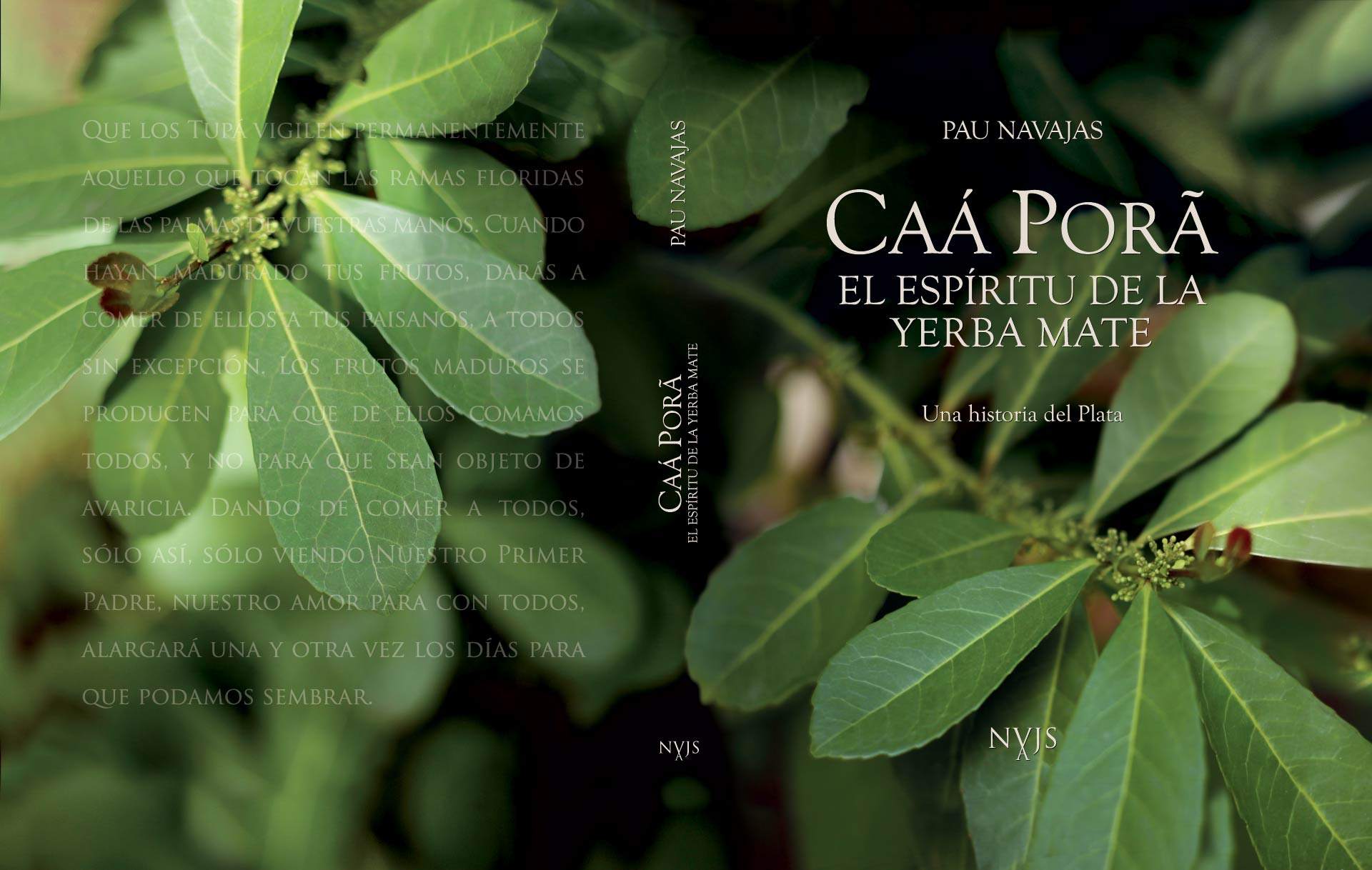libro_fondo